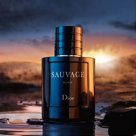 dior sauavage elixir|Dior Sauvage Elixir 60ml price.